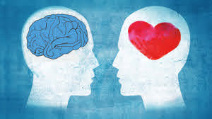 Are you a head person or a heart person? | SBS Science